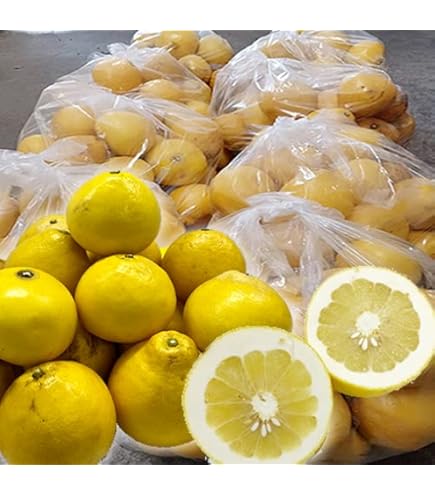 高知県産土佐文旦4Lサイズ 約10kg 高知県産 土佐文旦 贈答用・秀品 4Lサイズ 大玉 約10kg 贈り物に最適